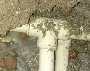 平桂测漏水多少钱