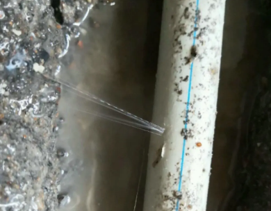 平桂测漏水哪家好