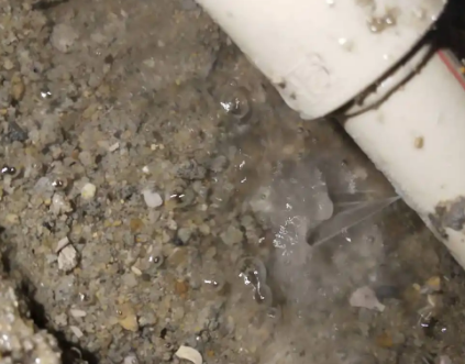 平桂测漏水电话号码