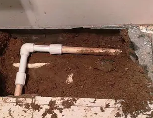 平桂测漏水哪家好