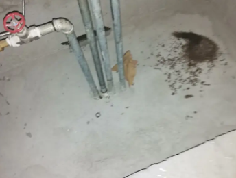 平桂卫生间测漏水价格明细