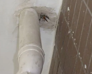 平桂漏水检测哪家好